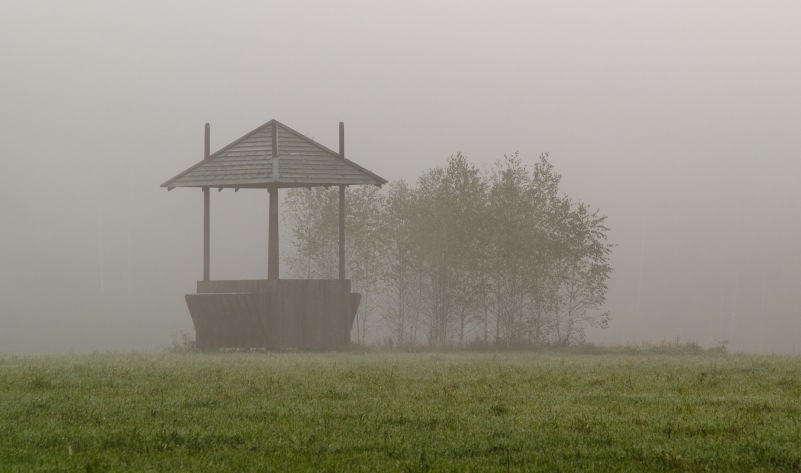 BIAŁOWIEŻA - 1 dzień