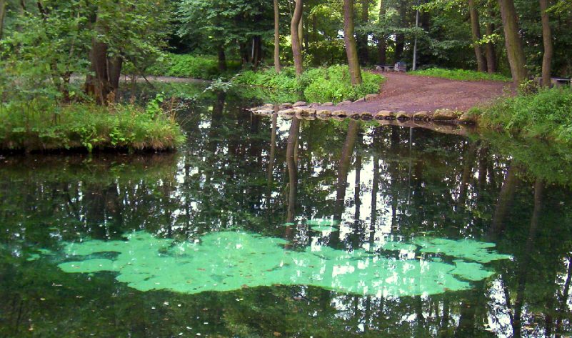 TOMASZÓW MAZOWIECKI - 1 dzień