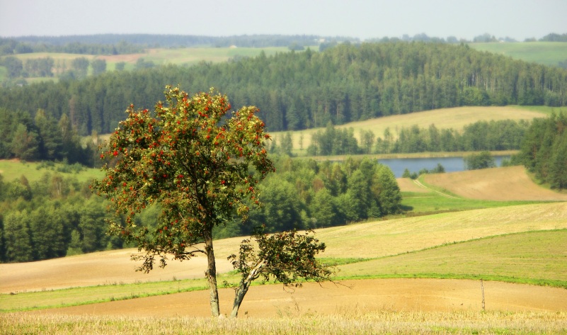 SUWALSZCZYZNA - 2 DNI