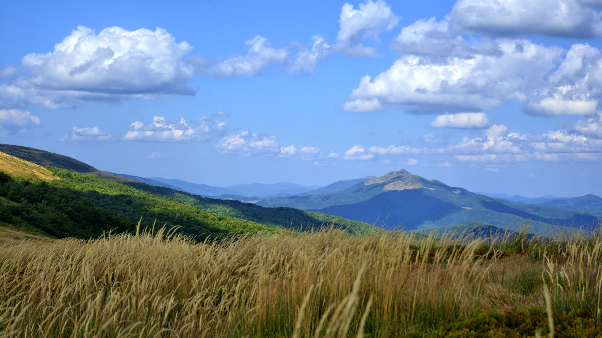 Bieszczady 6 dni