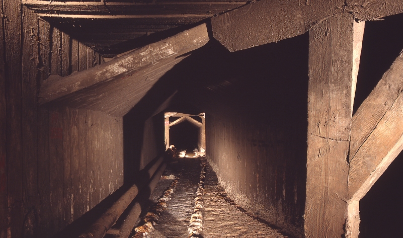 ZIEMIA TARNOWSKA - 3 DNI