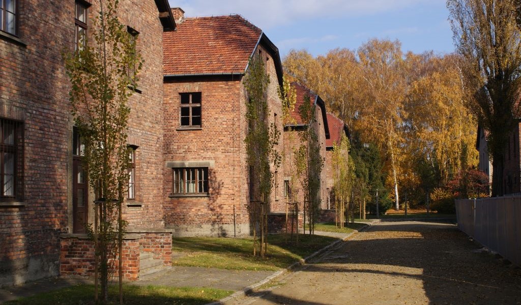AUSCHWITZ-BIRKENAU - 1 dzień