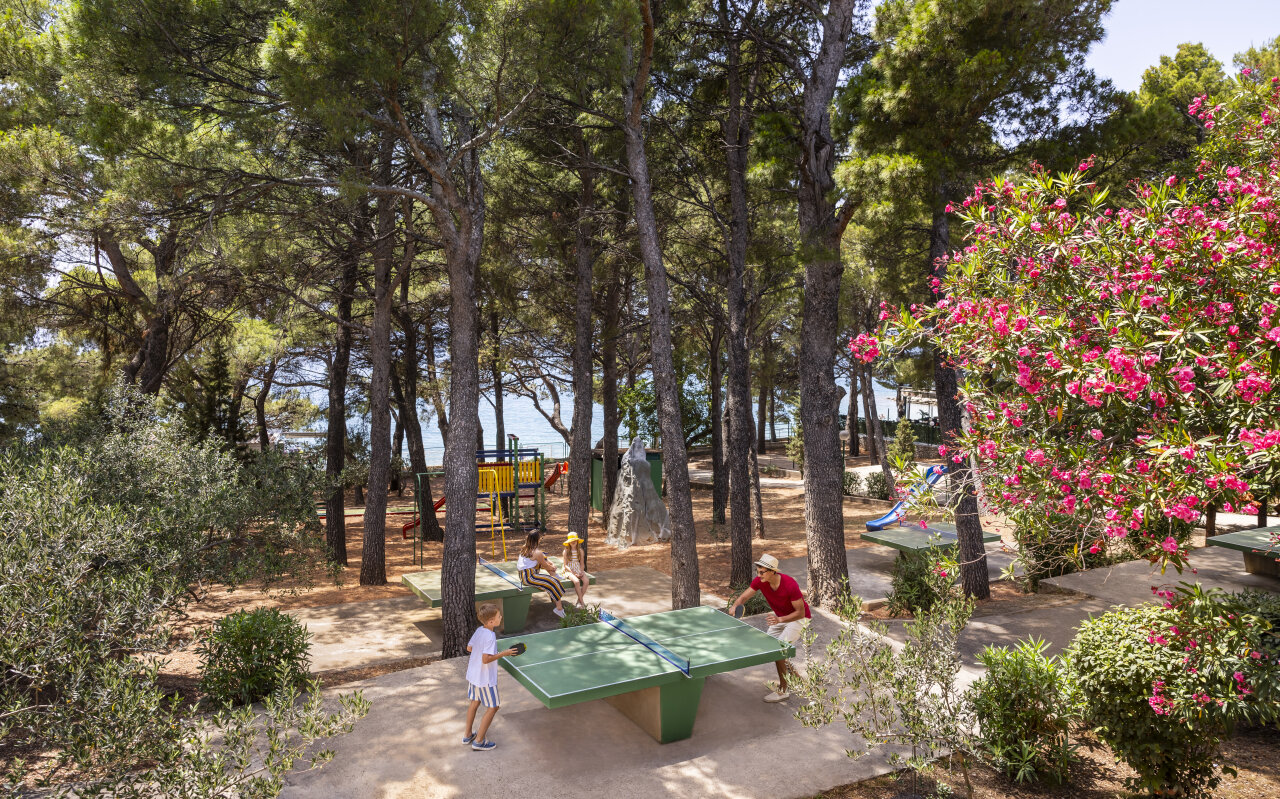 Sunny Makarska by Valamar - wczasy