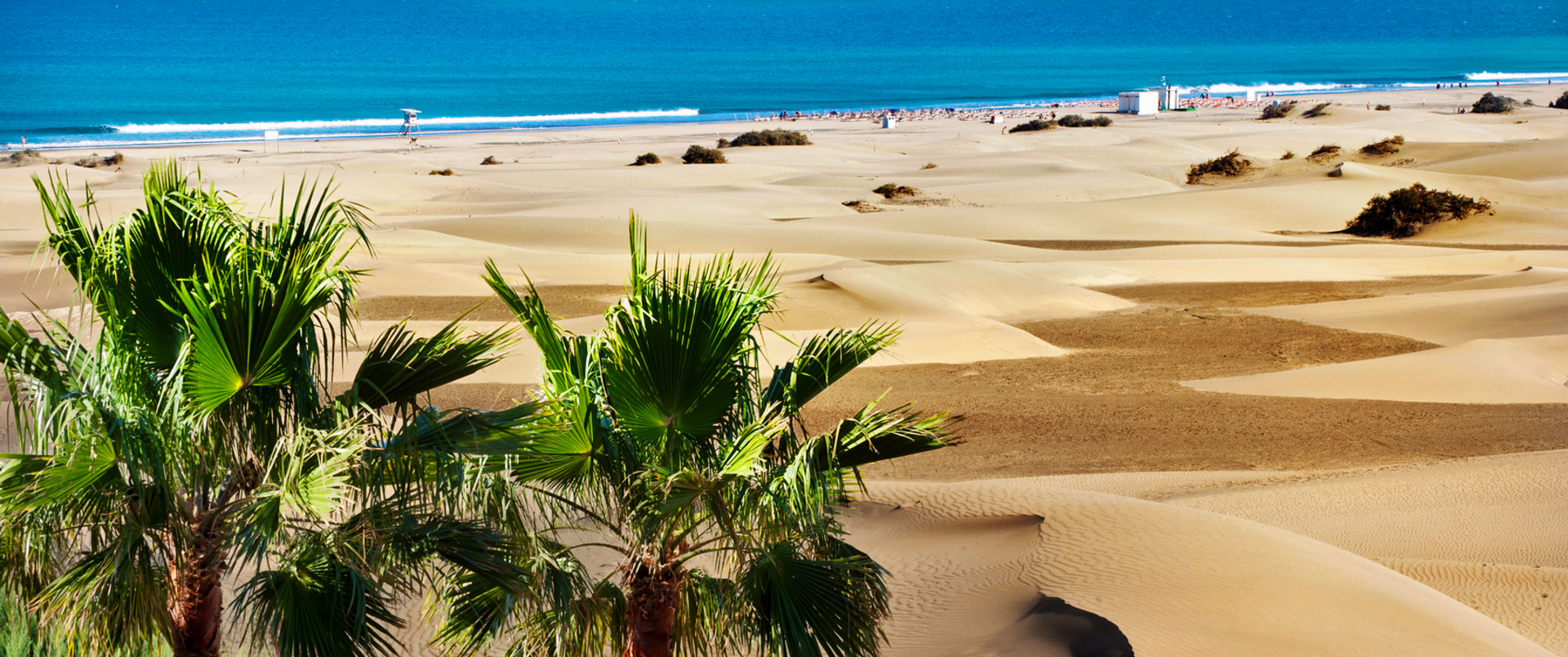 HISZPANIA - WYSPY KANARYJSKIE (TENERYFA – GRAN CANARIA – LANZAROTE)