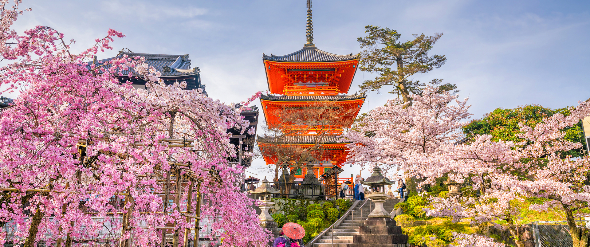 JAPONIA - 15 DNI