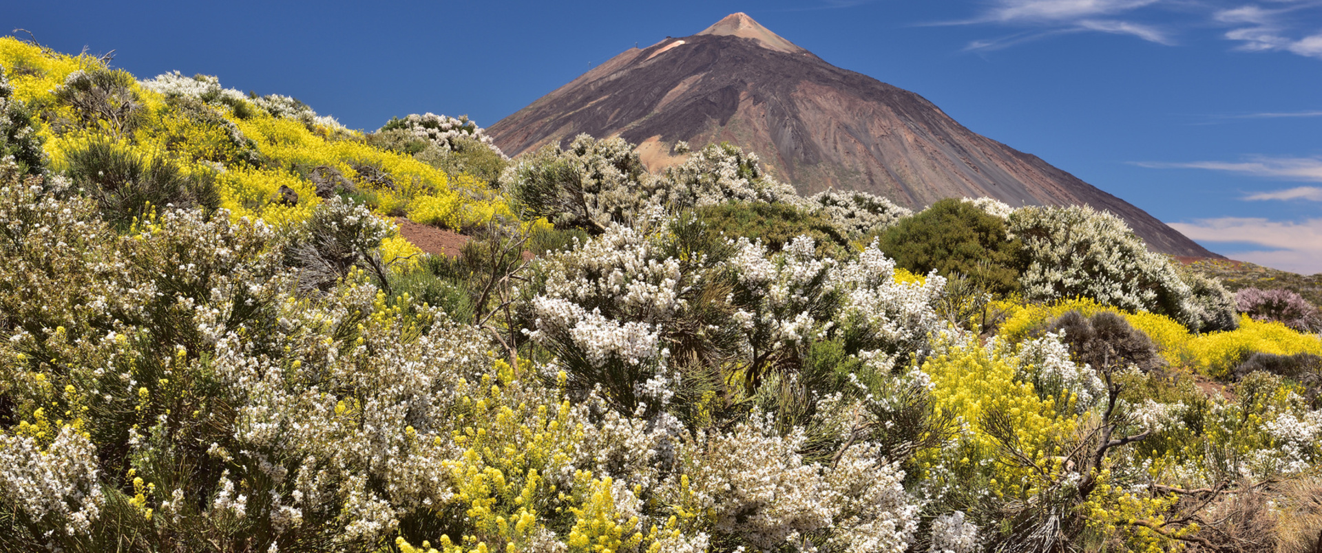 HISZPANIA - WYSPY KANARYJSKIE (TENERYFA – GOMERA/LA PALMA – GRAN CANARIA – LANZAROTE)