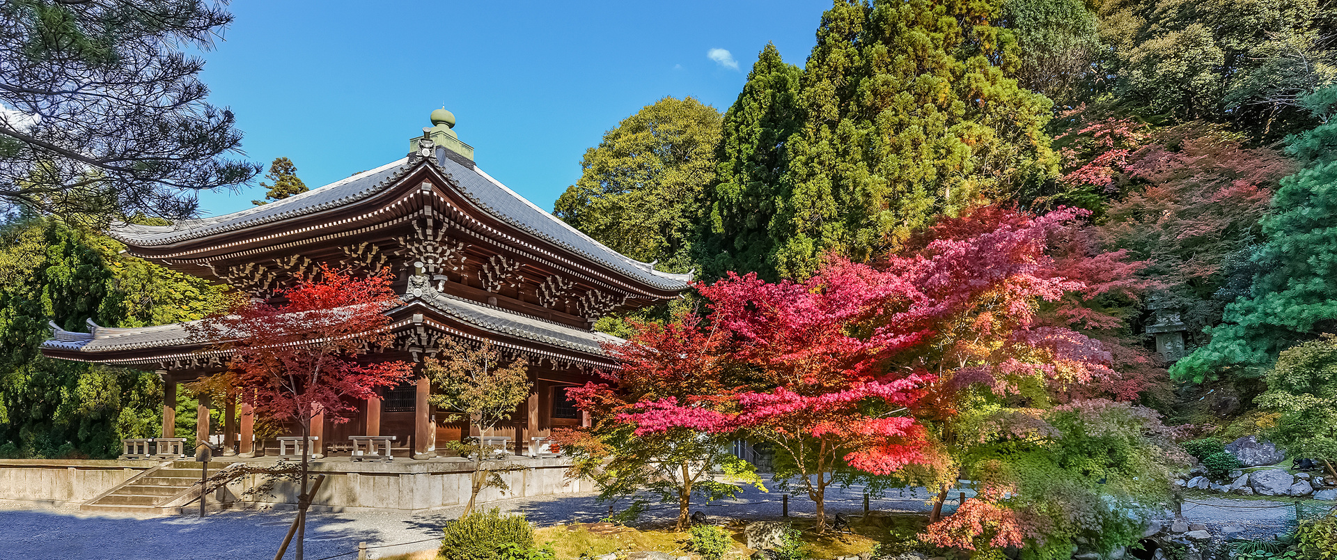 JAPONIA - 14 DNI