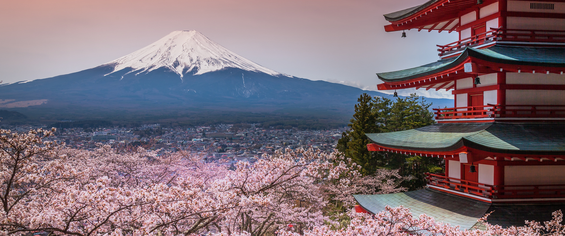 JAPONIA - 15 DNI