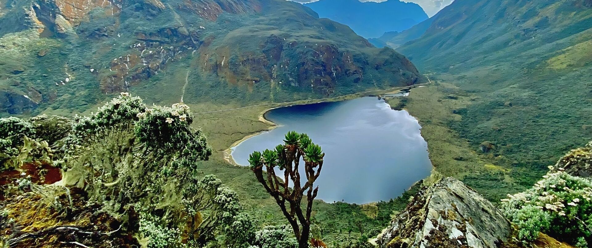 UGANDA (trekking w Górach Ruwenzori)