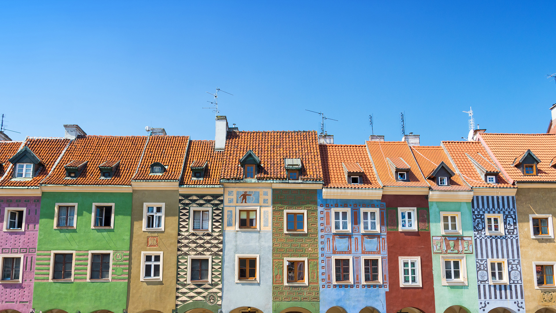 Poznań - Gniezno - Rogalin 3 dni