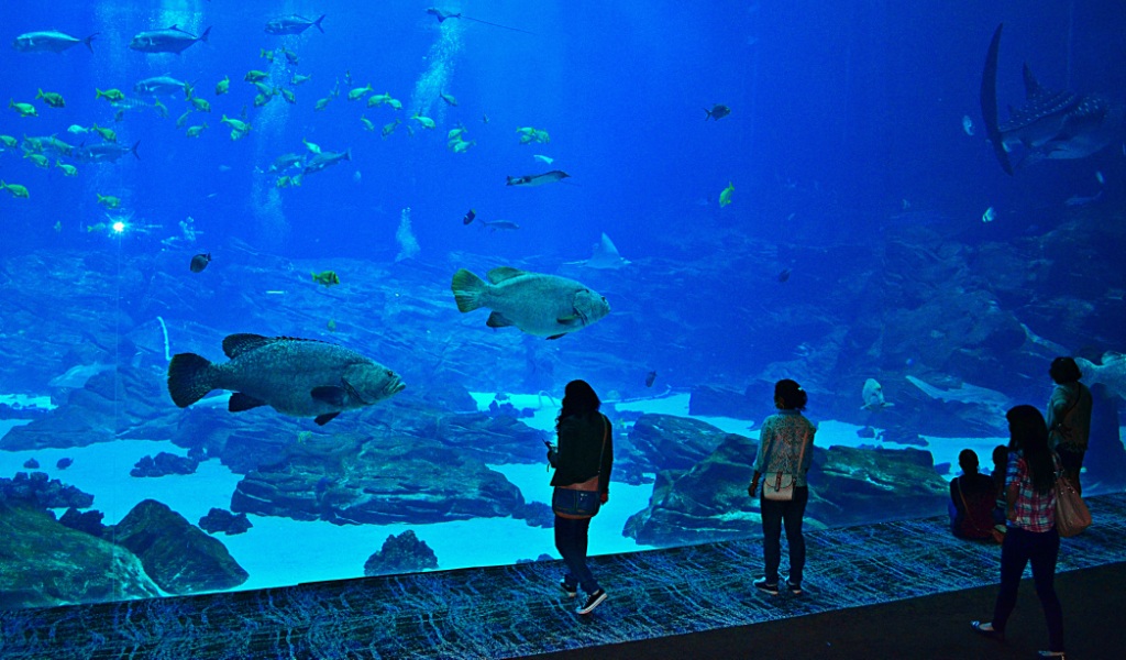ŁÓDŹ - WIZYTA W ZOO I ORIENTARIUM - 1 dzień