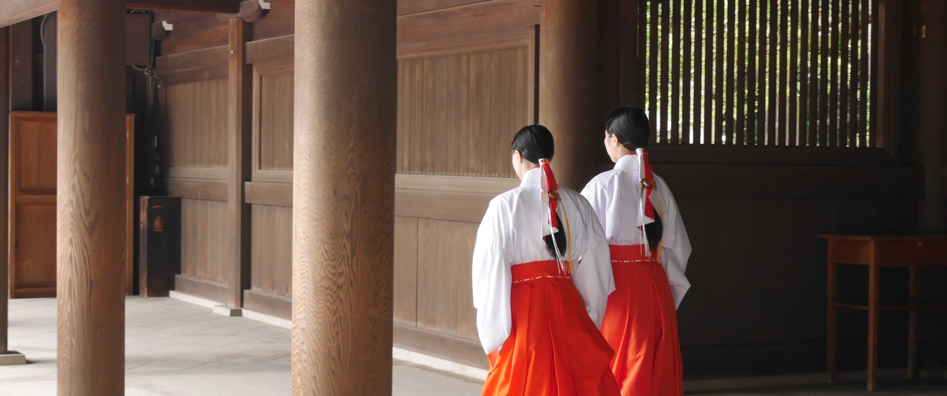 JAPONIA dla koneserów