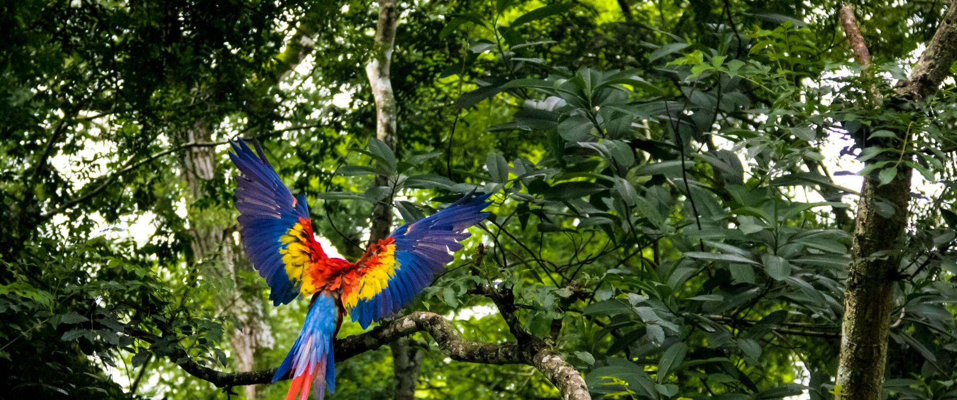 WIELKANOC W GWATEMALI (Panama-Gwatemala-Honduras)