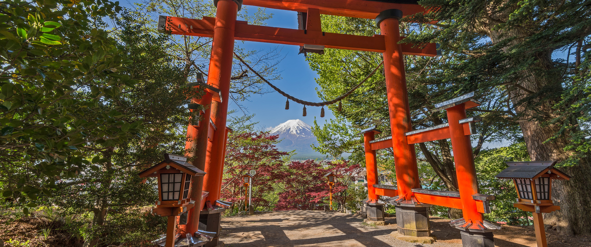 JAPONIA - 14 DNI