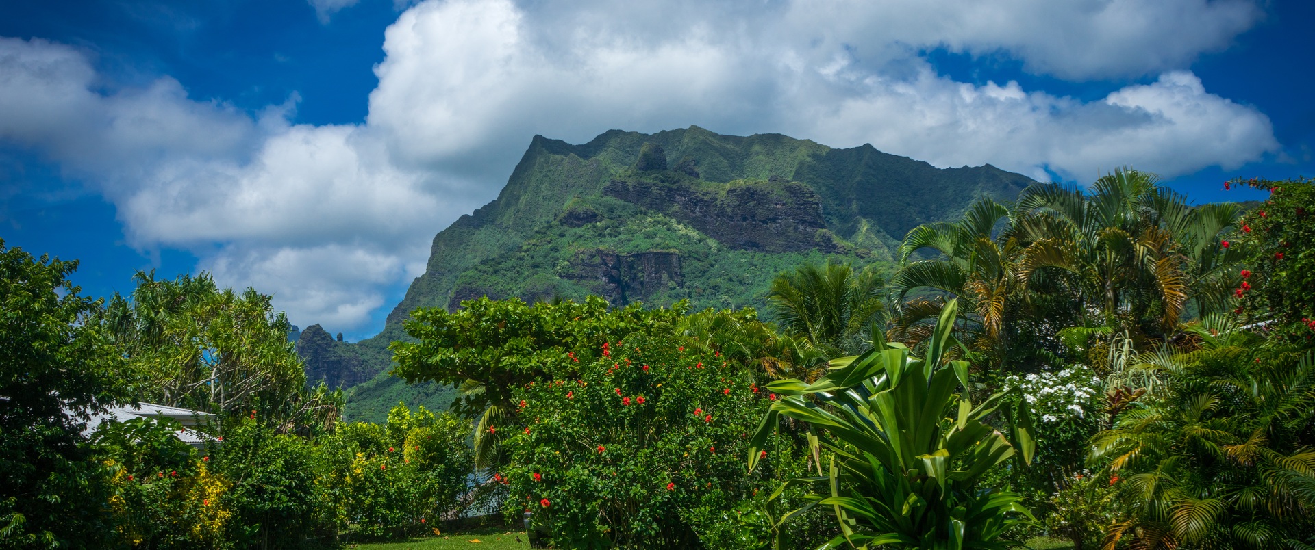POLINEZJA FRANCUSKA (Moorea - Bora Bora - Tahiti)