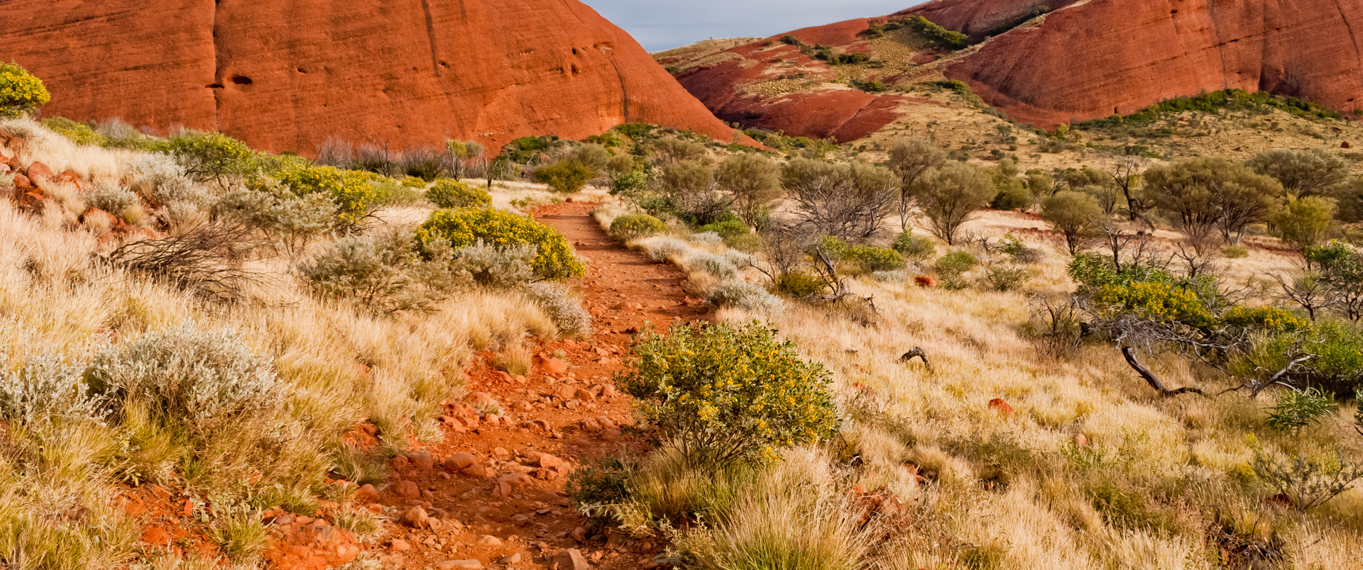AUSTRALIA - NOWA ZELANDIA (wyspy Północna i Południowa)