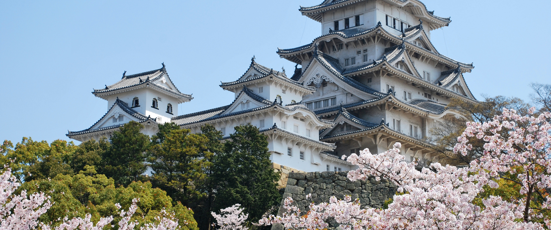 JAPONIA dla koneserów