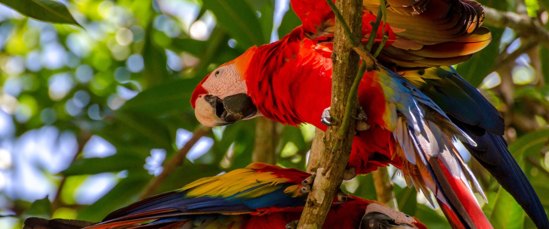 PANAMA – KOSTARYKA – NIKARAGUA – SALWADOR – HONDURAS – GWATEMALA – BELIZE – MEKSYK