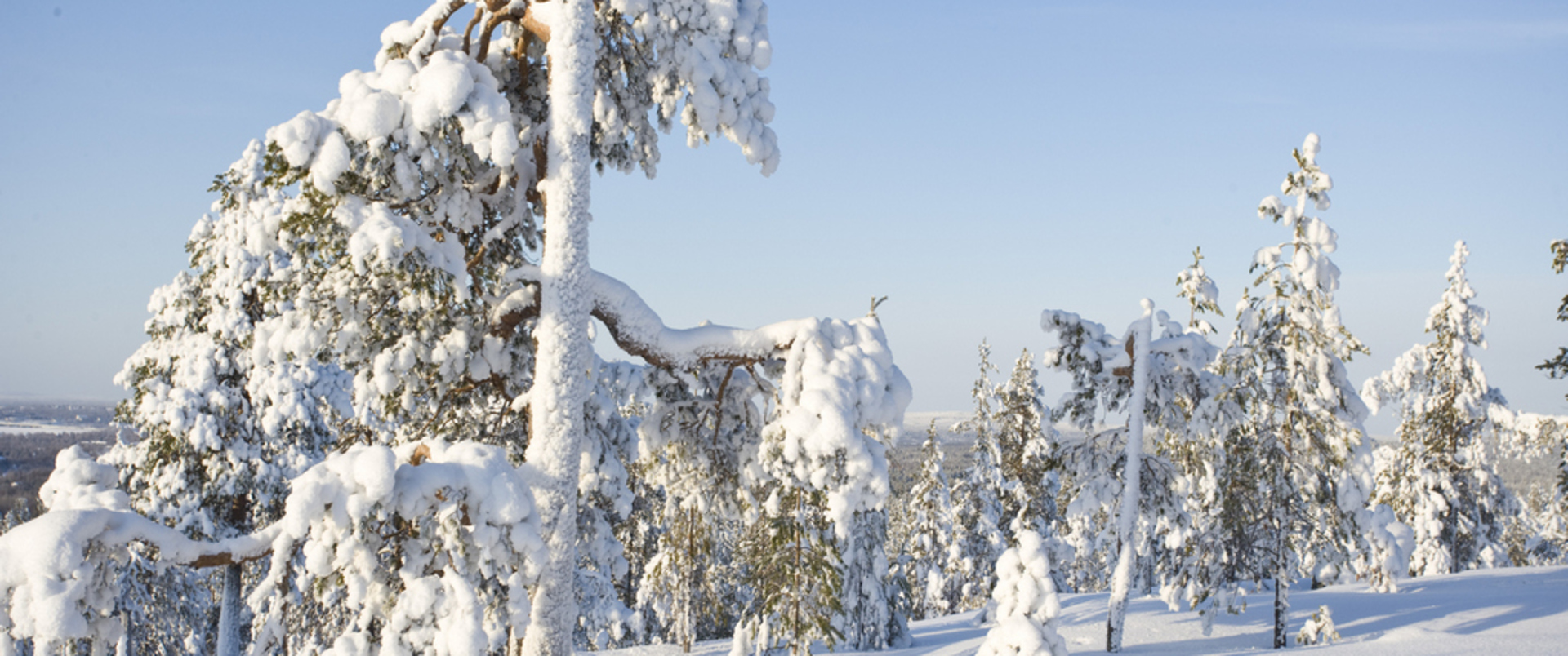 FINLANDIA - Laponia Sylwester za kołem podbiegunowym