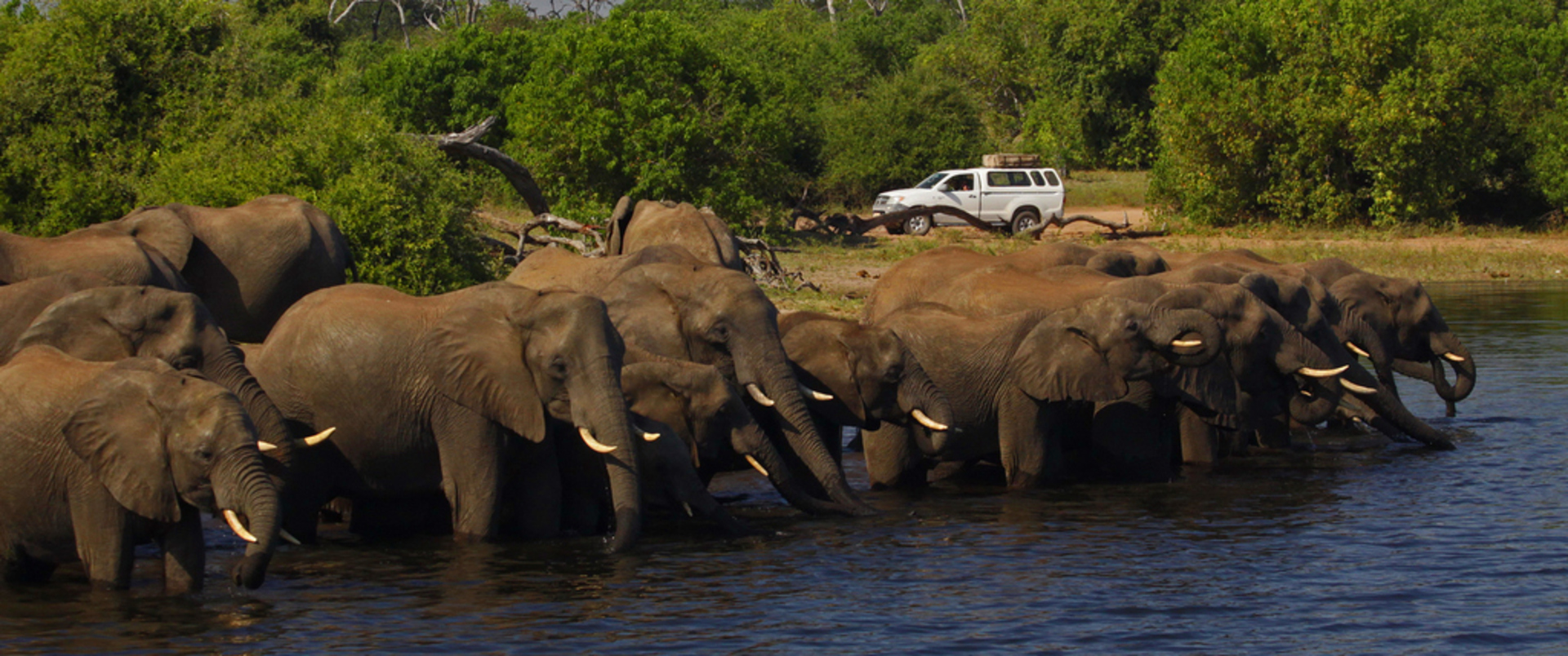 NAMIBIA - BOTSWANA - ZIMBABWE