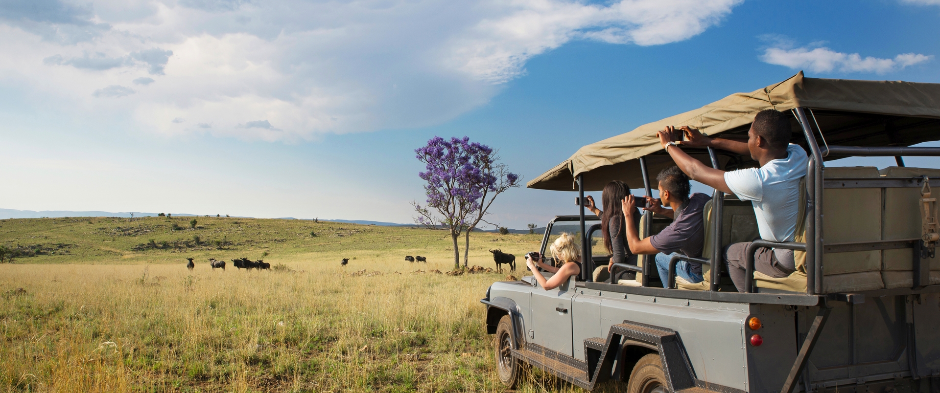NAMIBIA - BOTSWANA - ZIMBABWE